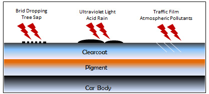 carbody-without-coating